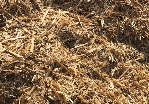 File Jan 31, 9 48 45 AM