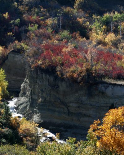 IMG_9591_0905_edited-1-min